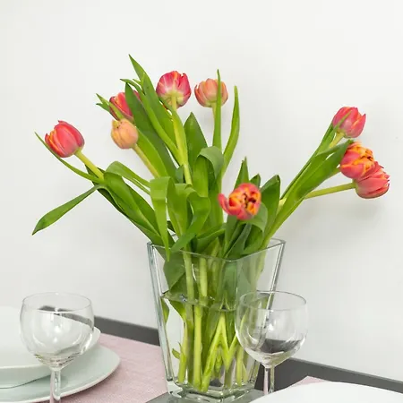 Perłowa Przystań By Renters * Kołobrzeg