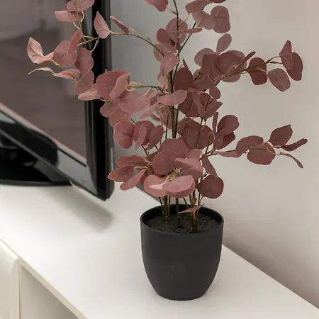 Apartmán Perlowa Przystan By Renters Kolobřeh